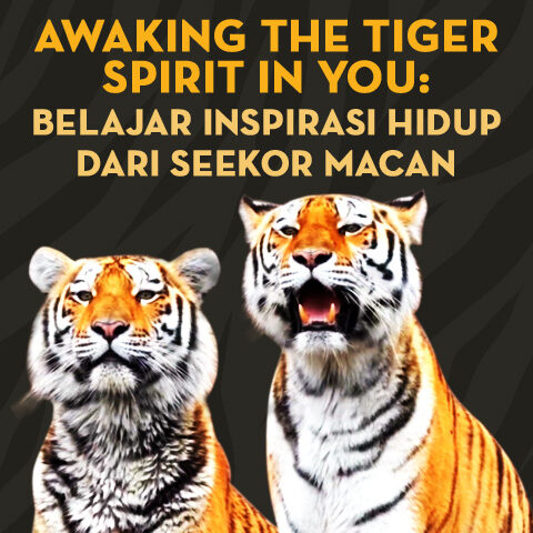 Awaking the Tiger Spirit in You: Belajar Inspirasi Hidup Dari Seekor Macan